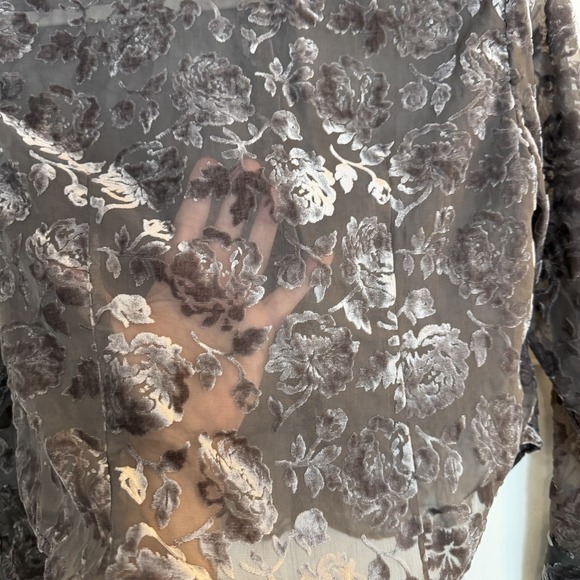 Gap Womens Small Brown Velvet Burnout Crop Button Up Floral WhimsiGoth Fairy EUC - Picture 6 of 10